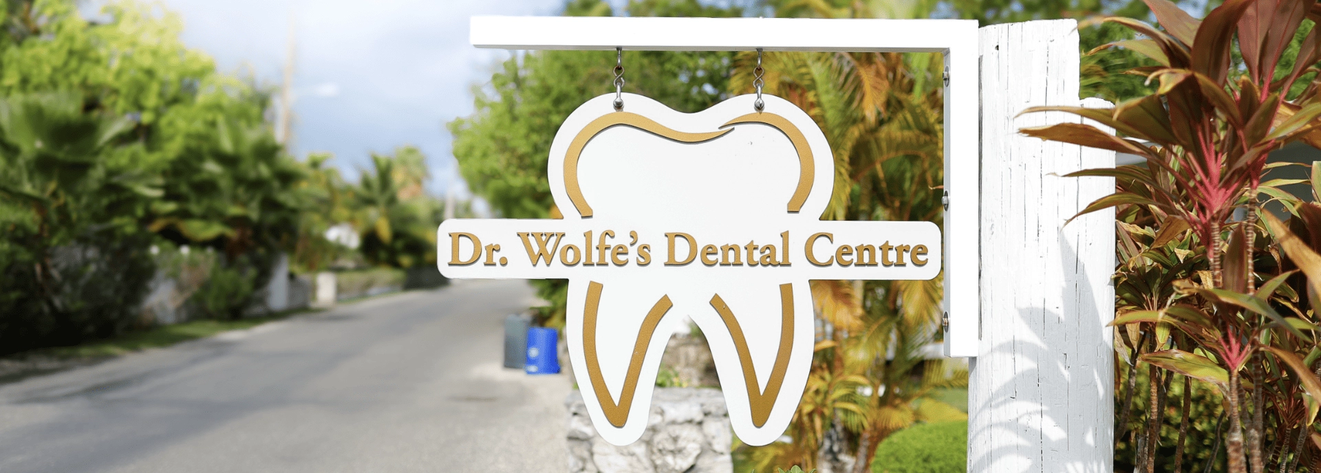 Wolfe Dental – Contact Us